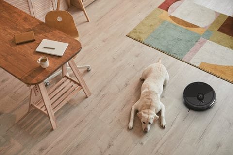 Are Robot Vacuums Worth It? Real Costs Vs. Traditional Vacuums