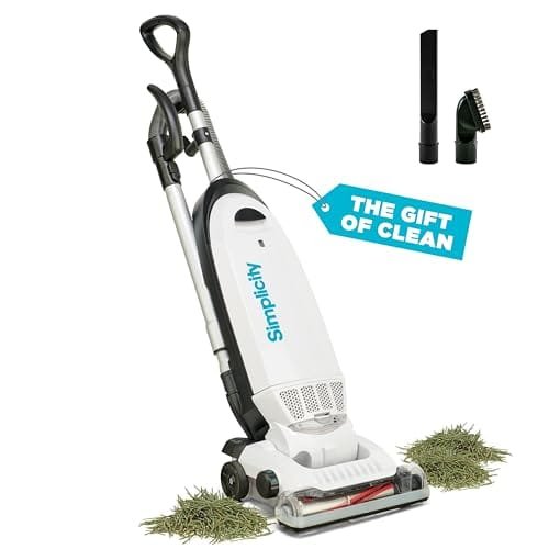 Best Bagged Vs Bagless Vacuums for Allergy Sufferers