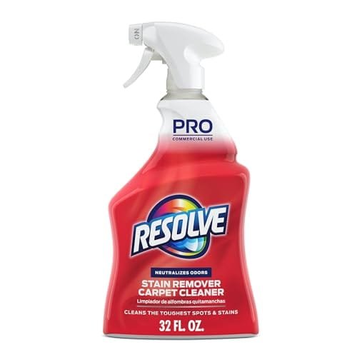 Best Stain Removers for Carpets And Rugs