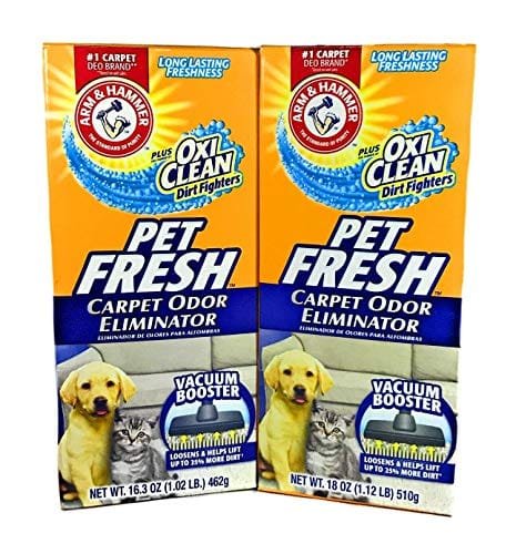 Best Carpet Deodorizing Solutions for Pet Homes