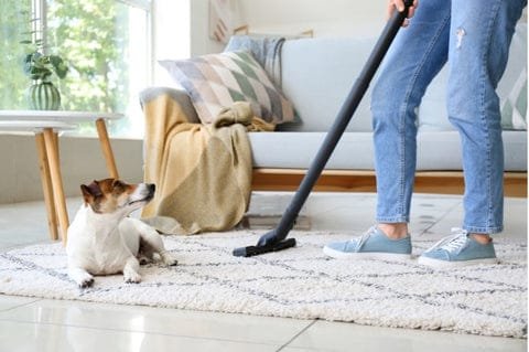 How to Stop Vacuum Cleaner Smelling of Dog