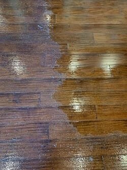 Will Carpet Cleaner Damage Hardwood Floors