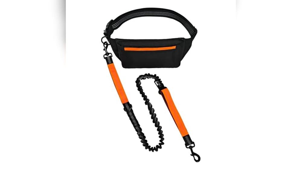 Best Amazon Basics Dog Leash for Walking