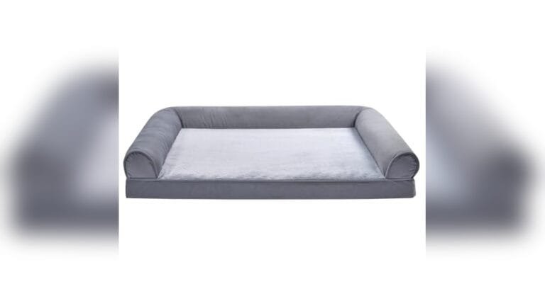 Best Amazon Basics Pet Bed for Dogs