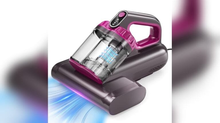 Best Handheld Vacuum For Bed Bugs
