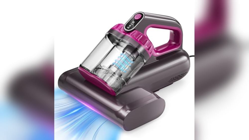 Best Handheld Vacuum For Bed Bugs