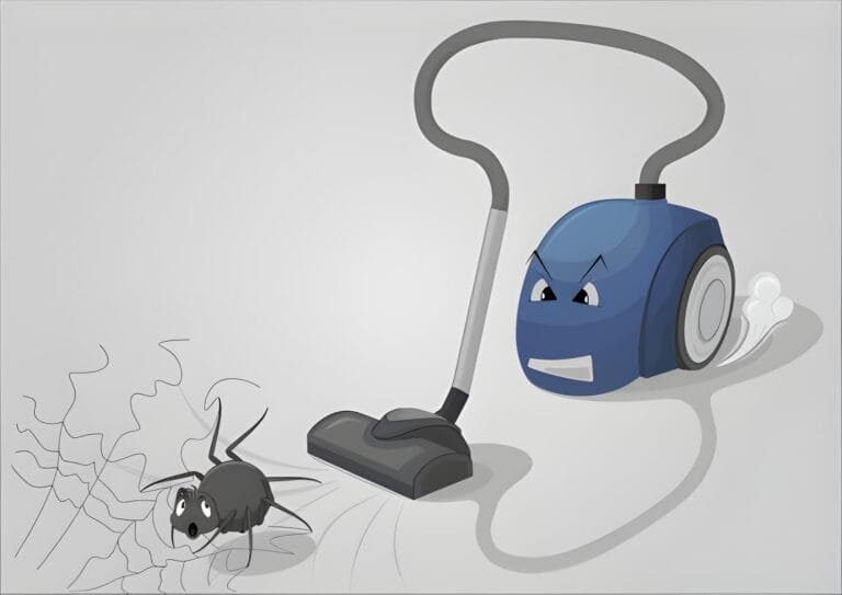 Does Vacuuming Ants Kill Them