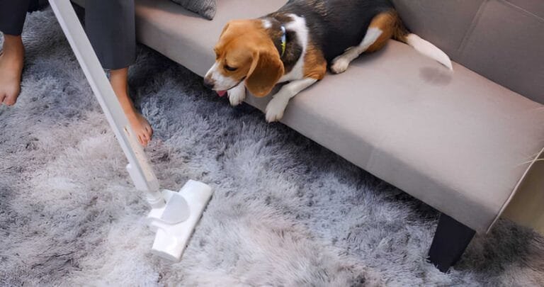 How Often Should You Vacuum With Pets