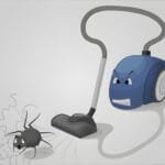 Do Vacuums Kill Spiders