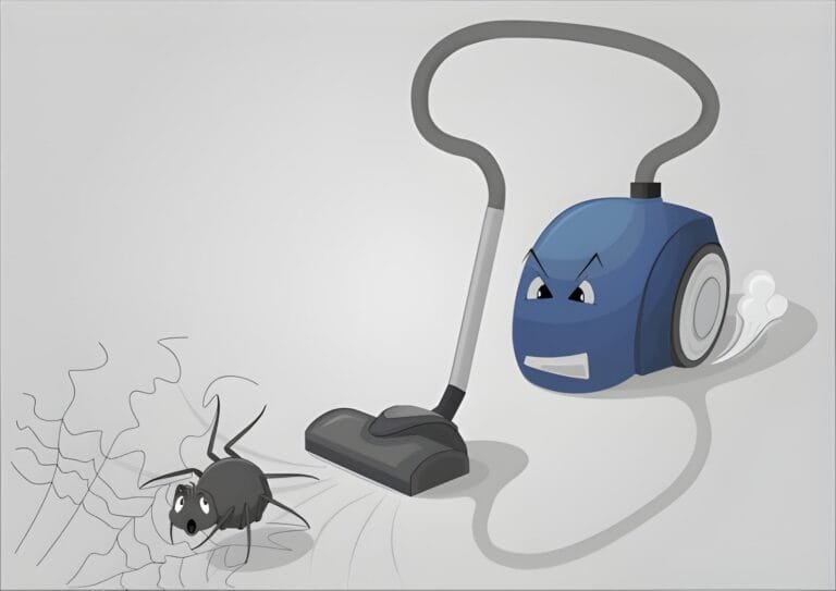 Do Vacuums Kill Spiders