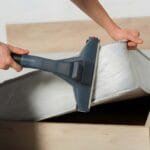 Can You Vacuum Bed Bugs