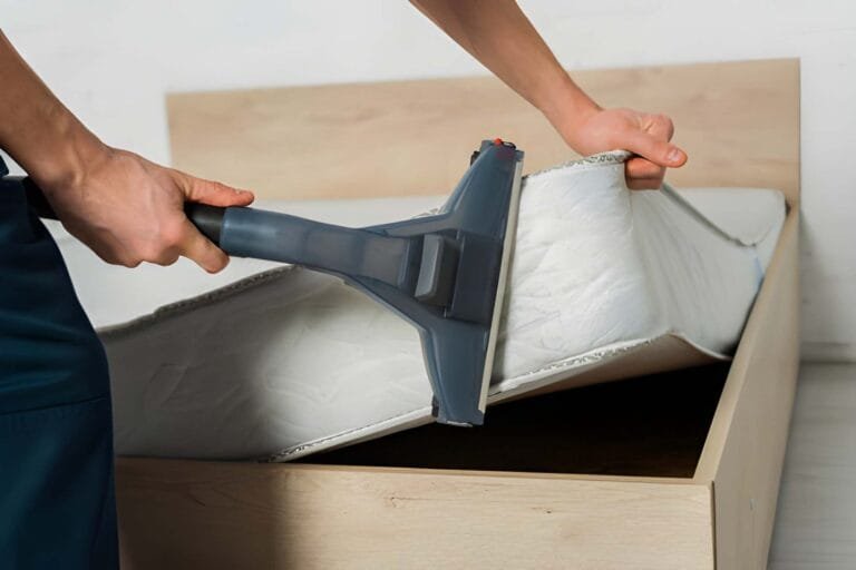 Can You Vacuum Bed Bugs