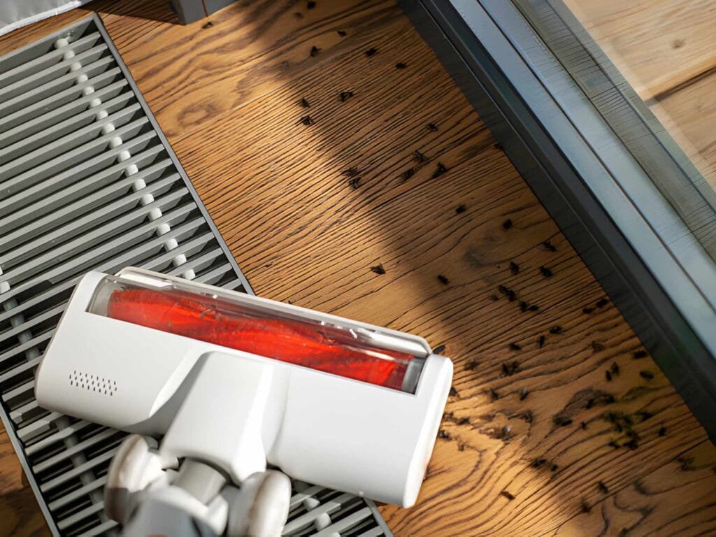 Does Vacuuming Kill Fleas