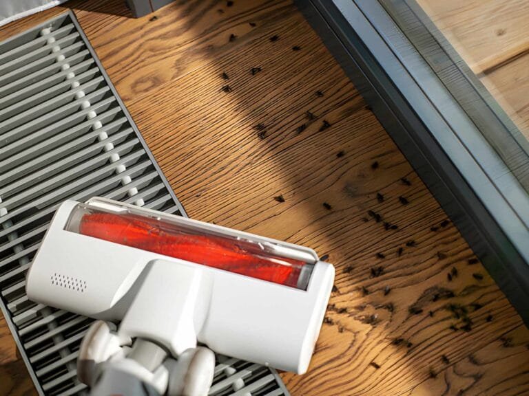 Does Vacuuming Kill Fleas